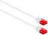 Cable de Red Slim Ewent RJ45 U/UTP Slim Cat.6 50 CM Blanco image number null