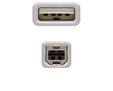 Cable USB 2.0 Nanocable USB-A/M para USB-B/M 1 M Bege image number null