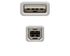 Cable USB 2.0 Nanocable USB-A/M para USB-B/M 1 M Bege image number null