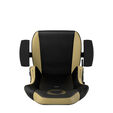 Silla noblechairs HERO - The Elder Scrolls Online Special Edition image number null