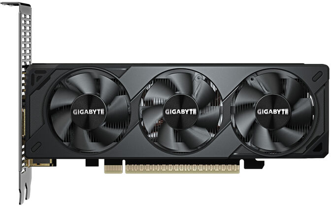 Tarjeta Gr&aacute;fica Gigabyte GeForce&reg; RTX 5060 OC LP 8GB GDDR7 DLSS4 image number 1