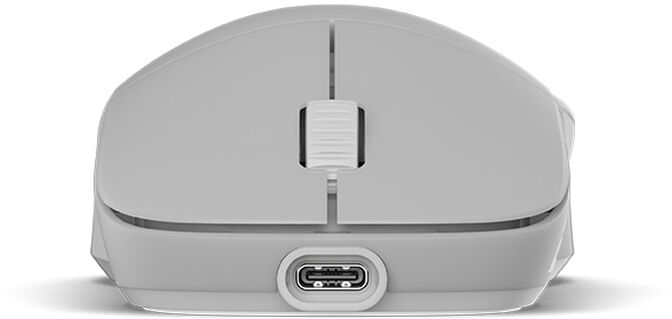 Rat&oacute;n Gaming Endgame Gear XM2w 4k Wireless - White Frost image number 4