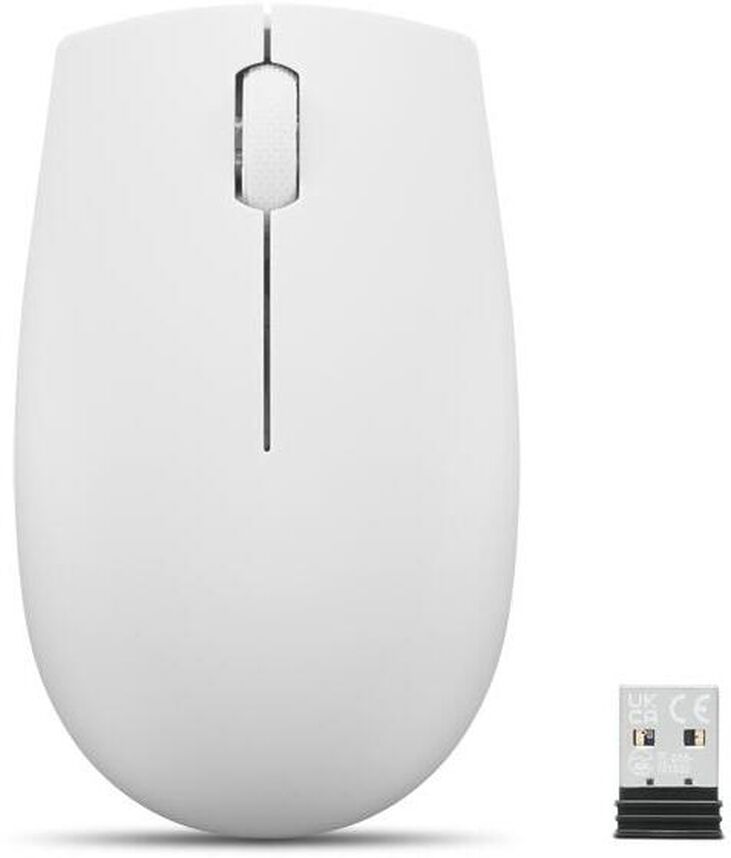 Ratón Lenovo 300 Compact Wireless Cloud Grey image number 0