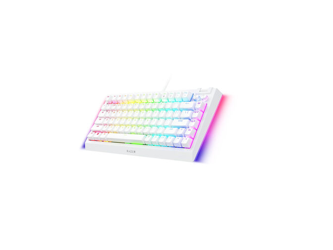 Teclado Razer BlackWidow V4 75% RGB Tactile Switch White Ed. (US) image number 5