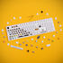 Ducky Switch Bundle image number null