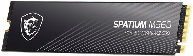 SSD MSI SPATIUM M560 2TB Gen5 M.2 NVMe (10300/8700MB/s) image number 0