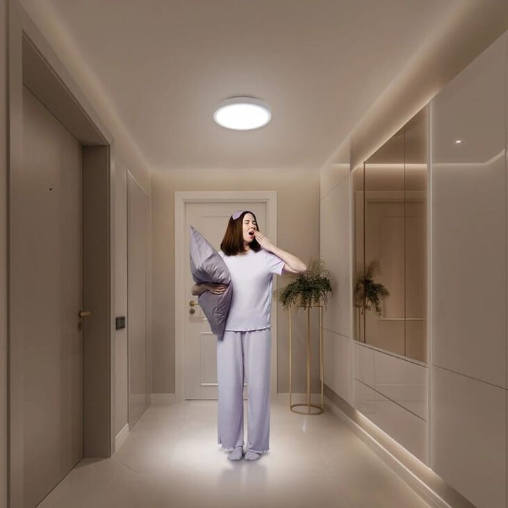 Lámpara de Techo Smart Xiaomi Ceiling Light D20 900lm image number 3
