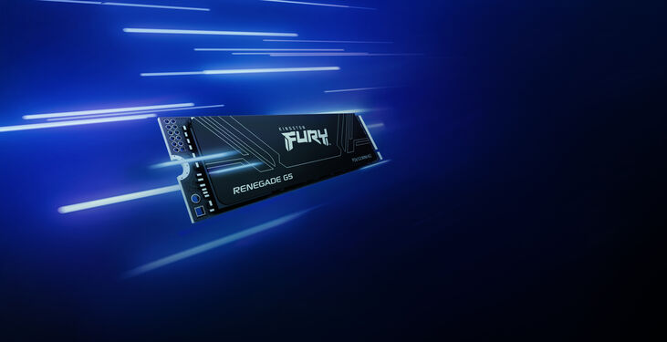 SSD Kingston Fury Renegade G5 4TB Gen5 M.2 NVMe 2280 (14800/14000MB/s) image number 7
