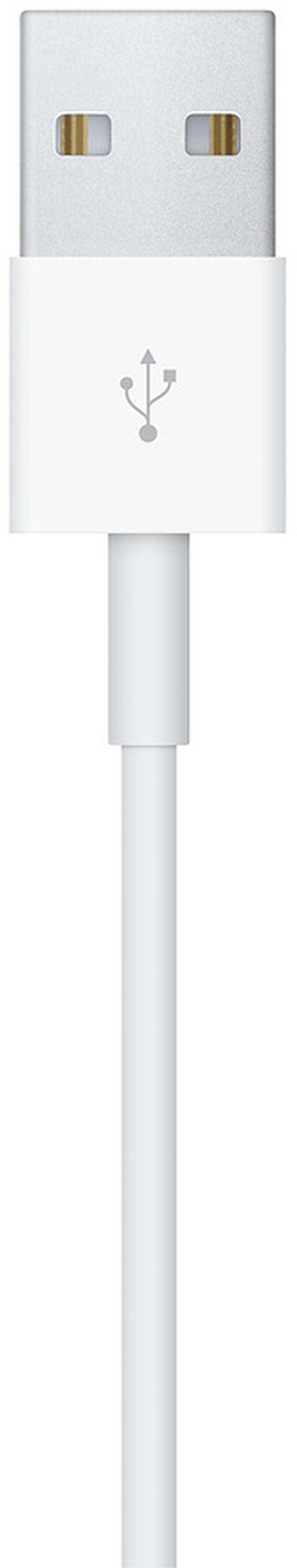 Cable Magn&eacute;tico de Carga R&aacute;pida para Apple Watch 1m Blanco image number 3