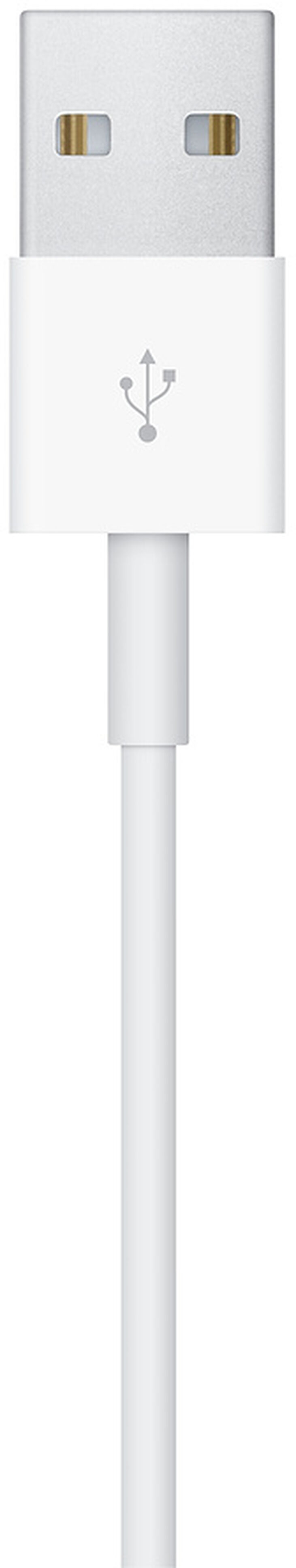 Cable Magn&eacute;tico de Carga R&aacute;pida para Apple Watch 1m Blanco image number 3