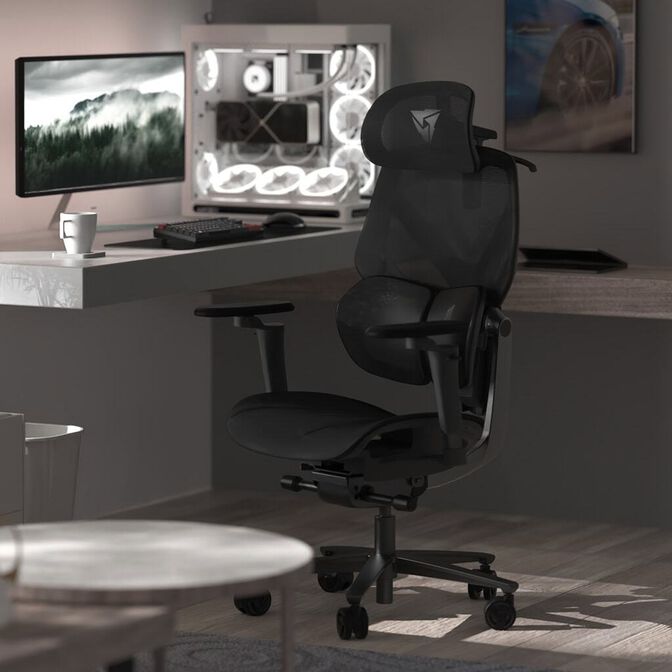 Silla Gaming Ergonomica ThunderX3 FLEX Pro, Apoio lombar 360 graus - Mesh Black image number 8