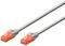 Cable de Red Ewent RJ45 U/UTP Cat.6 3 M Blanco