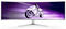 Monitor Curvo Gaming Philips EVNIA 49" 49M2C8900 QD-OLED DQHD 240Hz 0.03ms FreeSync Premium Pro HDR400