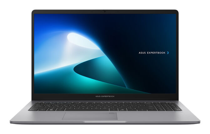 Port&aacute;til ASUS Expertbook P1 P1503 15.6" Core 5 210H 16GB DDR5 512GB FHD W11Pro image number 0