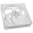 ARCTIC P12 PWM PST Carcasa del ordenador Ventilador 12 cm Blanco image number null