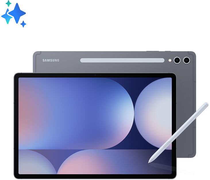 Tablet Samsung Galaxy Tab S10+ 12.4" (12 / 256GB) 120Hz WiFi Moonstone Gray image number 0