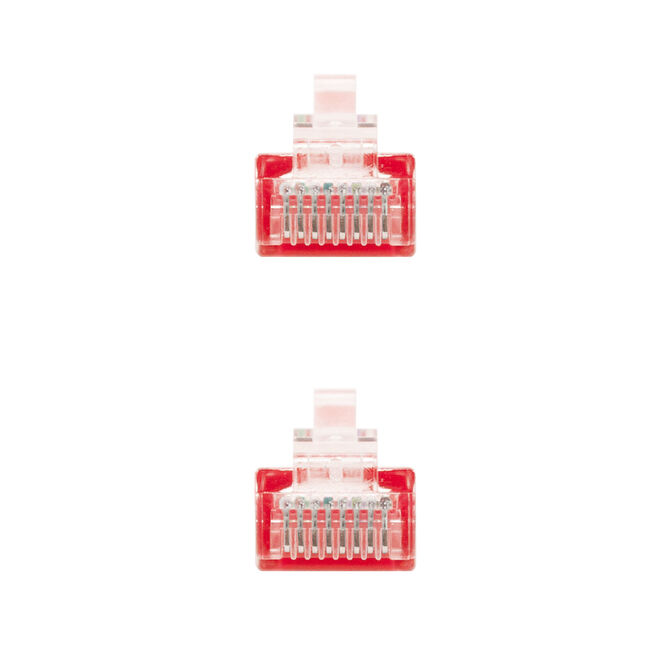 Cable de Red NanoCable RJ45 CAT.6 UTP AWG24 30 CM Rojo image number 2