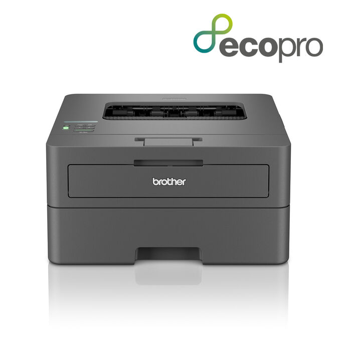 Impresora L&aacute;ser Brother HL-L2400DWE image number 0