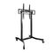 Soporte Móvil Tooq LUX con Ajuste Eléctrico de Altura 55" a 100" Máx. 120Kg Negro