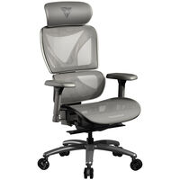Silla Gaming Ergonomica ThunderX3 XTC - Griz