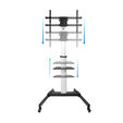 Soporte M&oacute;vil Tooq HERA 37" a 86" Max 50Kg Aluminio image number null