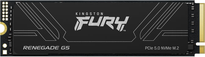 SSD Kingston Fury Renegade G5 4TB Gen5 M.2 NVMe 2280 (14800/14000MB/s) image number 0