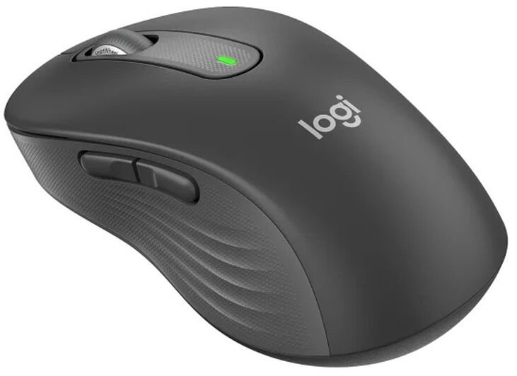 Ratón Óptico Logitech Signature M650 L Wireless 2000DPI Graphite image number 0