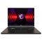 MSI Vector 17 HX A14VHG-811PT Intel® Core™ i9 i9-14900HX Portátil 43,2 cm (17") Quad HD+ 32 GB DDR5-SDRAM 1 TB SSD NVIDIA GeForce RTX 4080 Wi-Fi 7 (802.11be) Windows 11 Home Negro