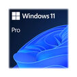 Microsoft Windows 11 Pro 64-bit EN OEM image number null