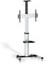 Soporte Móvel Tooq Tilt Rotação 90º Ajustable 37" a 70" Max. 50kg Negro image number null
