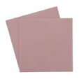 Thermal Pad Thermal Grizzly Minus Pad 8 100 x 100 x 1 mm (Pack 2) image number null