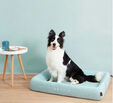 Cama para Mascotas PETKIT Deep Sleep All Season Verde M image number null
