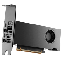 Tarjeta Gr&aacute;fica NVIDIA RTX PRO 2000 Blackwell 24GB GDDR7 (bulk)