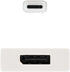 Adaptador NanoCable USB-C M para DisplayPort F 15 CM Aluminio image number null