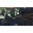 Juego Nintendo Xenoblade Chronicles 3 Nintendo Switch 2 Edition image number null