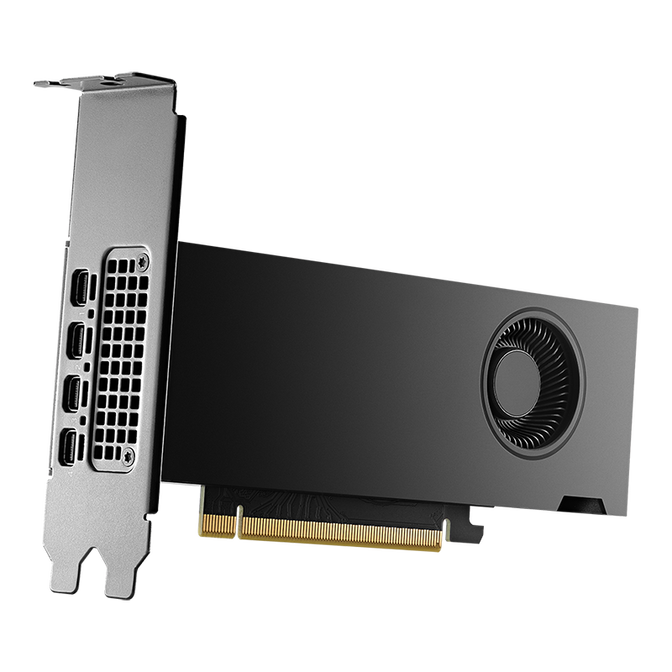 Gr&aacute;fica NVIDIA Quadro RTX 2000 ADA FH 16GB GDDR6 (Bulk) image number 0