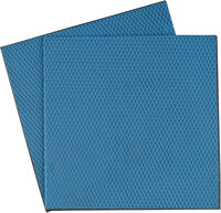 Thermal Pad Thermal Grizzly Minus Pad Advance 100x100x2.0 mm(Pack 2)
