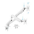 Soporte de Mesa Tooq Doble Tilt e GiRat&oacute;nrio c/mola 17" a 32" Max. 9Kg Blanco image number null