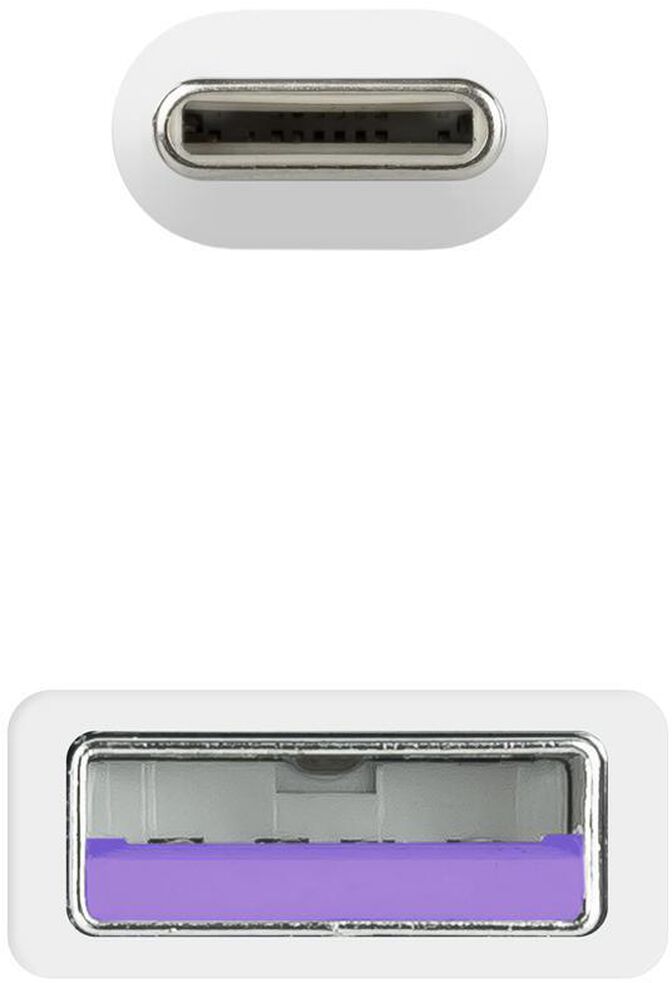 Cable USB 2.0 3A Nanocable USB-C/M para USB-A/M 2 M Blanco image number 3