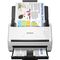 Esc&aacute;ner de Documentos Epson WorkForce DS-530III
