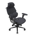 Silla Gaming Ergonomica ThunderX3 FLEX Pro, Apoio lombar 360 graus - Loft Dark Grey image number null