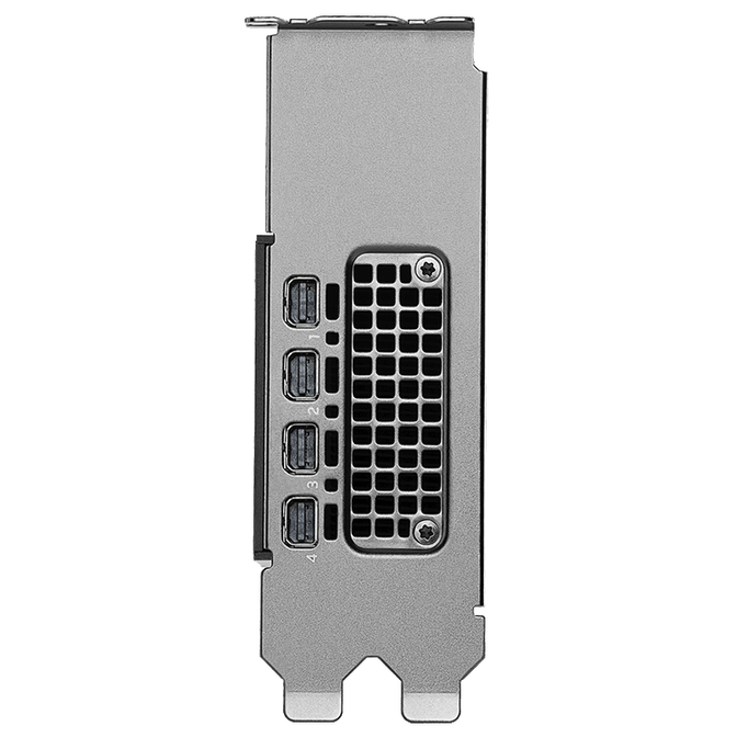 Tarjeta Gr&aacute;fica NVIDIA RTX PRO 2000 Blackwell 16GB GDDR7 image number 1