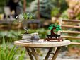 LEGO Botanicals: Bons&aacute;i, 878 Piezas (10281) image number null