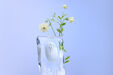 Rat&oacute;n Asus MD101 Fragrance Branco Wireless image number null