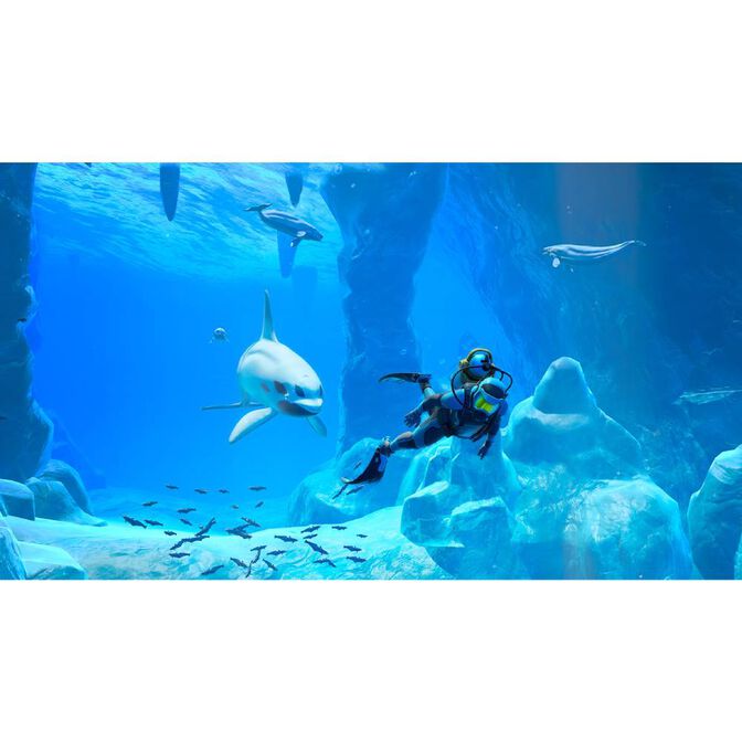 Juego Nintendo Switch Endless Ocean: Luminous image number 2