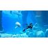 Juego Nintendo Switch Endless Ocean: Luminous image number null
