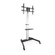 Soporte M&oacute;vil Tooq HERA 37" a 86" Max 50Kg Aluminio image number null