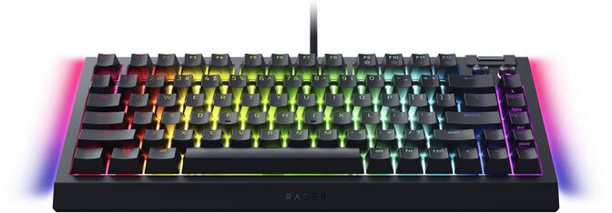 Teclado Razer BlackWidow V4 75% RGB Tactile Switch (US) image number 6