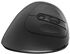 Ratón Óptico Ewent EW3229 Vertical/Ergonomic Mouse Wireless 2400DPI Negro image number null
