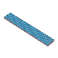 Thermal Pad Thermal Grizzly Minus Pad Extreme 120 × 20 × 2 mm